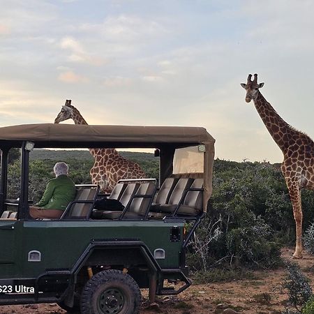 Valley Bushveld Country Lodge Addo Eksteriør bilde