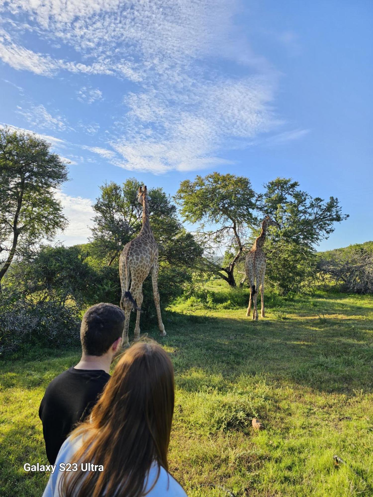 Valley Bushveld Country Lodge Addo Eksteriør bilde
