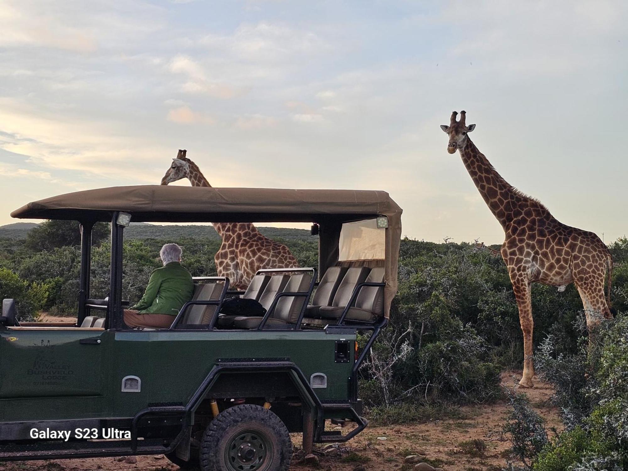 Valley Bushveld Country Lodge Addo Eksteriør bilde
