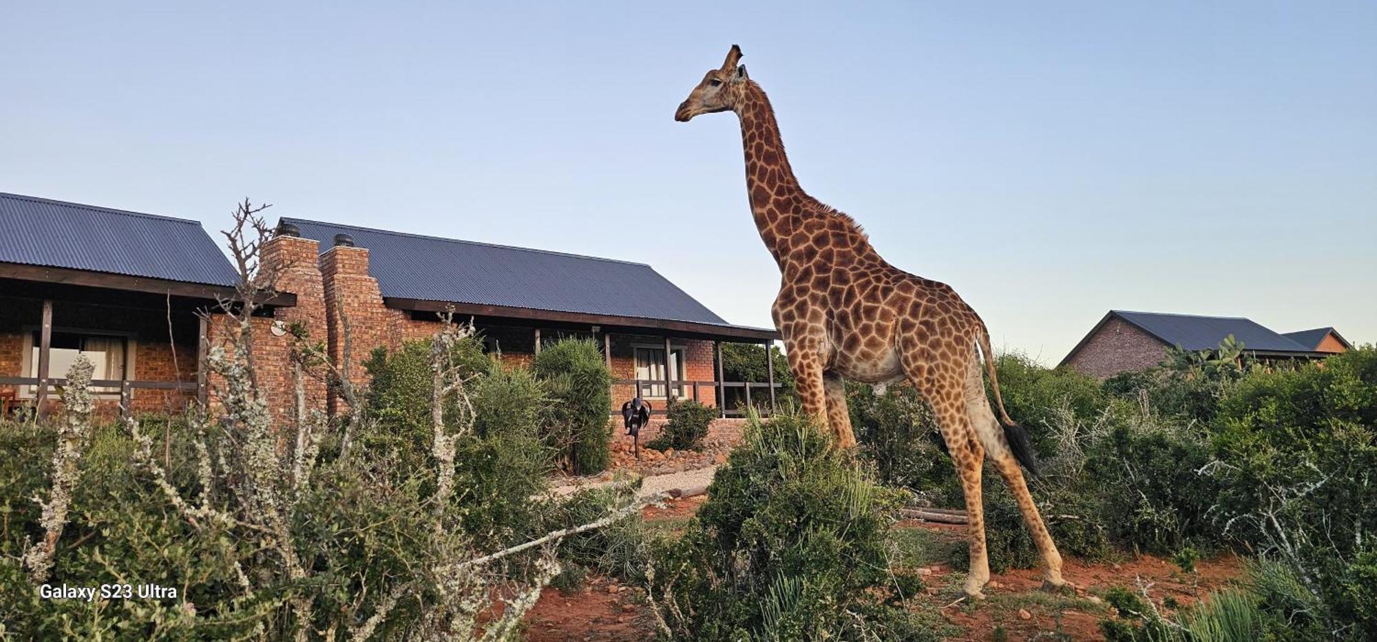 Valley Bushveld Country Lodge Addo Eksteriør bilde