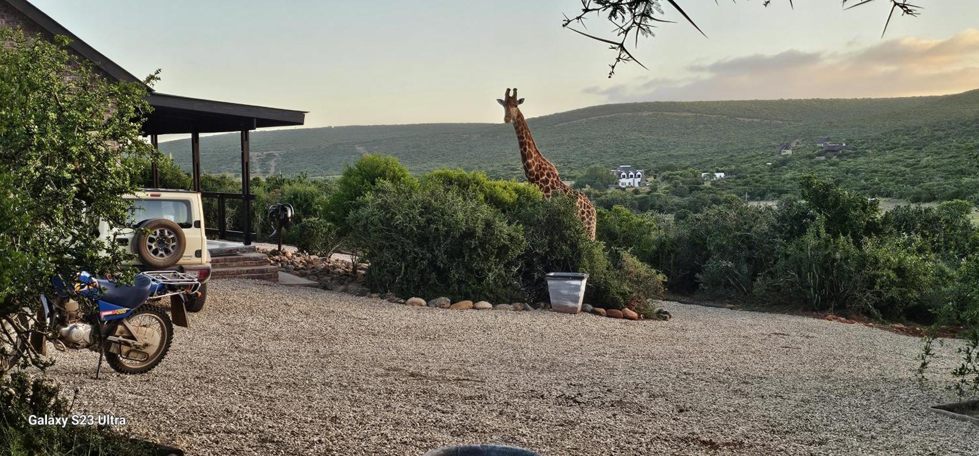 Valley Bushveld Country Lodge Addo Eksteriør bilde