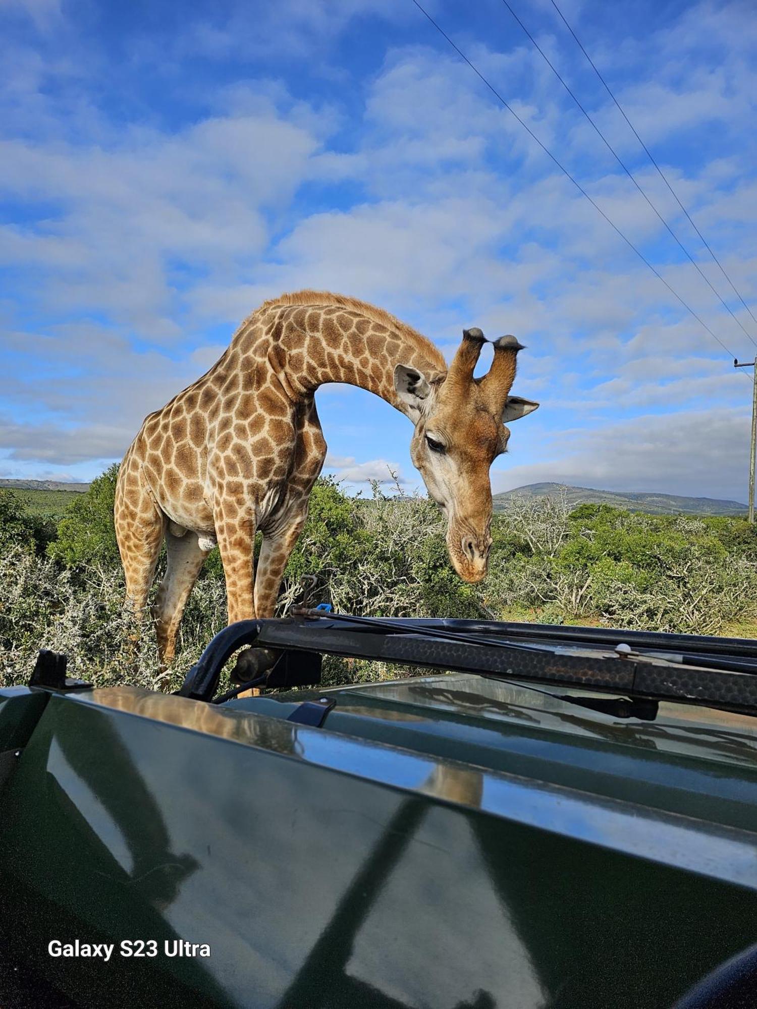 Valley Bushveld Country Lodge Addo Eksteriør bilde