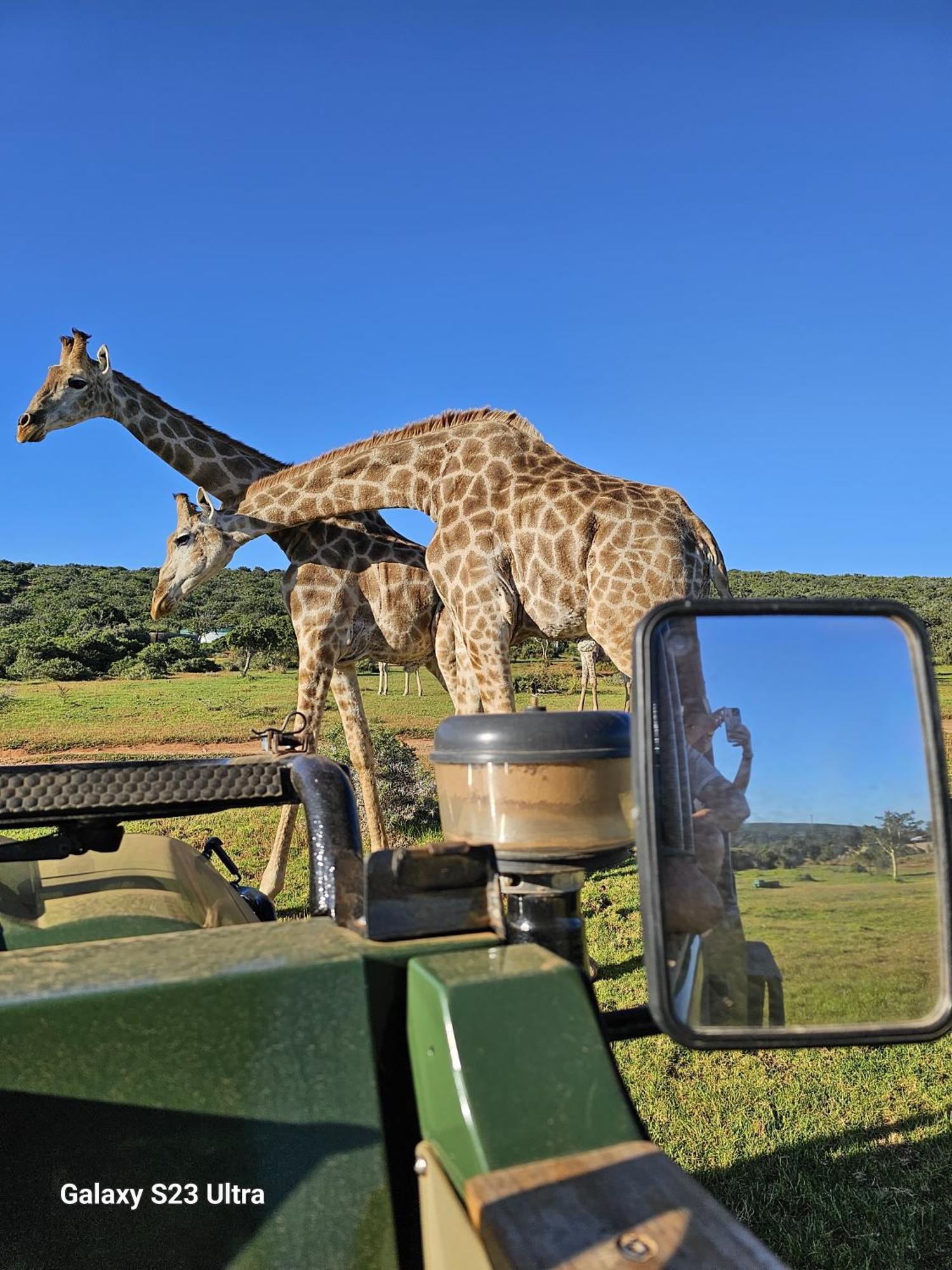 Valley Bushveld Country Lodge Addo Eksteriør bilde