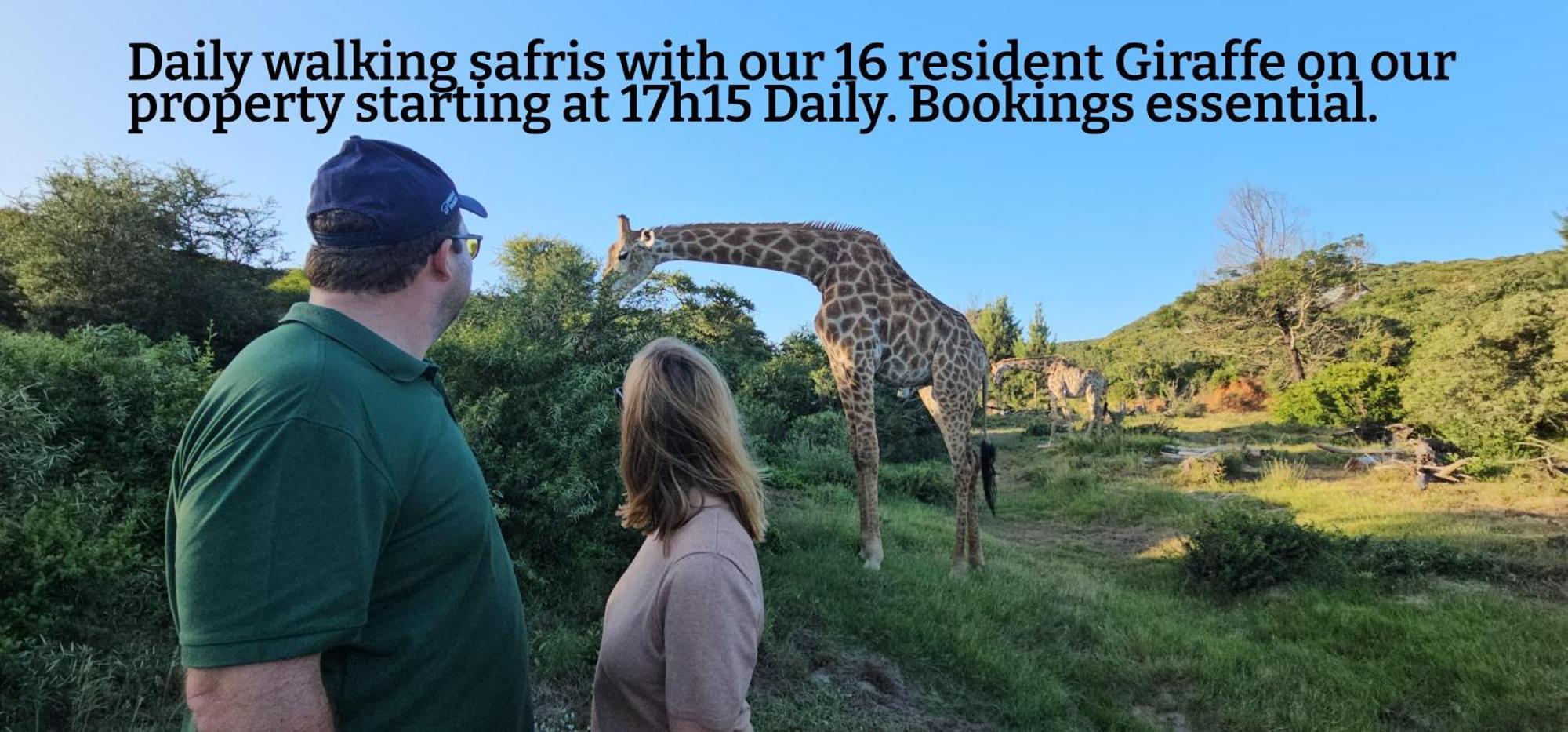 Valley Bushveld Country Lodge Addo Eksteriør bilde
