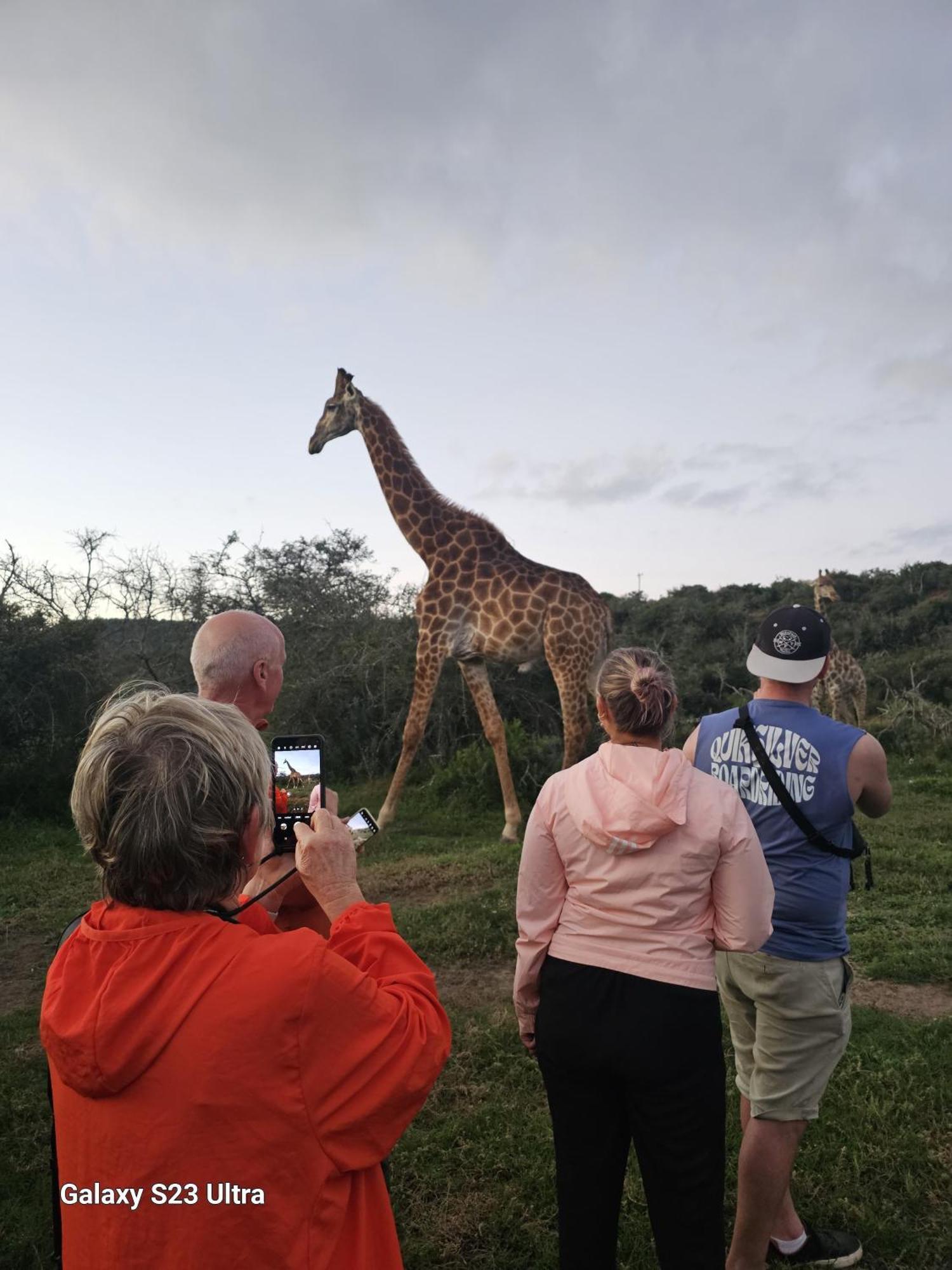 Valley Bushveld Country Lodge Addo Eksteriør bilde